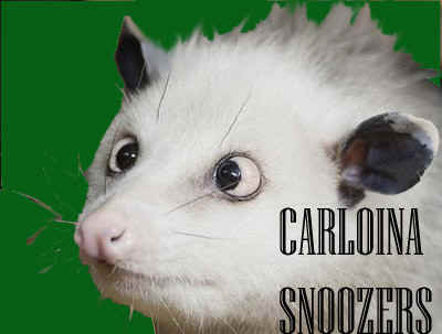 CarolinaSnoozers.jpg (12484 bytes)